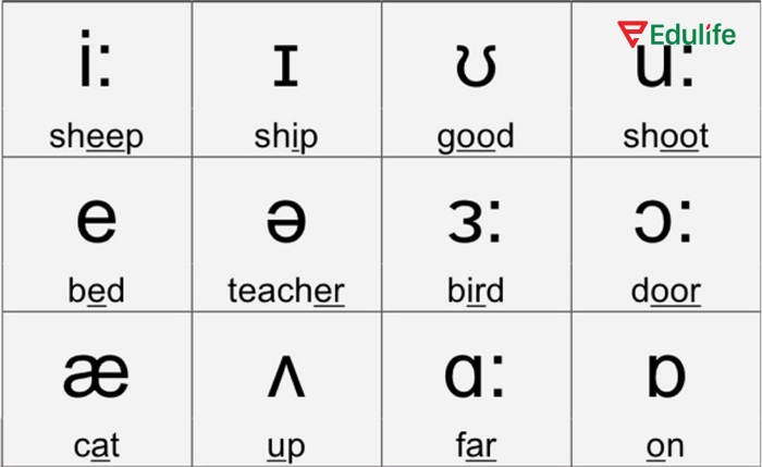 Nắm được cách đọc hiểu phiên âm là gì, bạn có thể đọc từ mới chính xác mà không cần nghe audio