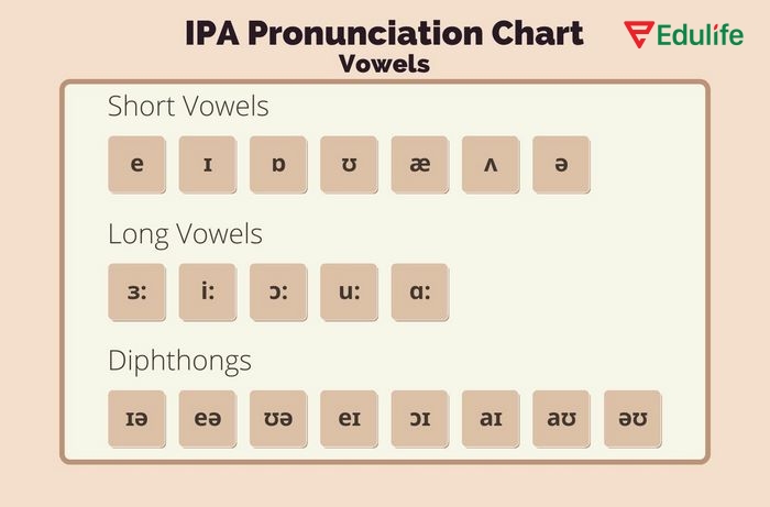 Khi người học tiếng Anh nắm rõ phiên âm là gì và cách đọc sẽ luôn phát âm từ ngữ chính xác