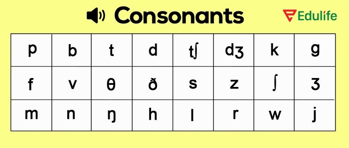 Phụ âm là âm thanh tạo ra bằng cách làm tắc, cản hoặc hẹp luồng hơi qua các bộ phận phát âm (miệng hoặc thanh quản)