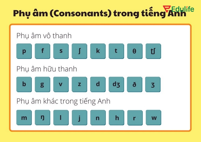 Hệ thống phụ âm có những phụ âm không thuộc nhóm hữu thanh hay vô thanh nhưn đóng vai trò quan trọng tạo nên ngữ điệu khi phát âm