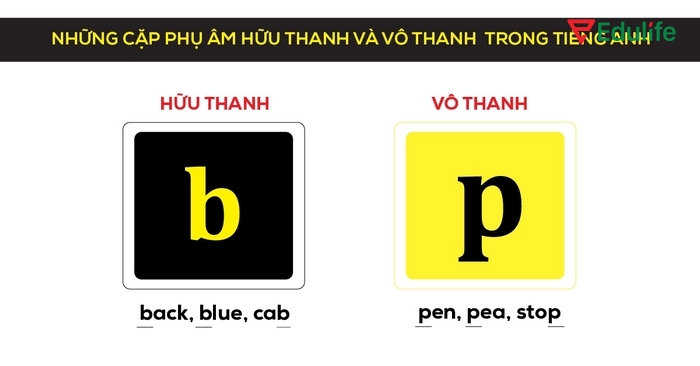 Hiểu ý nghĩa phụ âm là gì, bạn hãy chú trọng luyện phát âm khi học tiếng Anh để điều chỉnh ngữ điệu linh hoạt