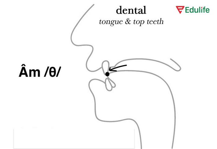 Luật phát âm tiếng Anh phụ âm /θ/