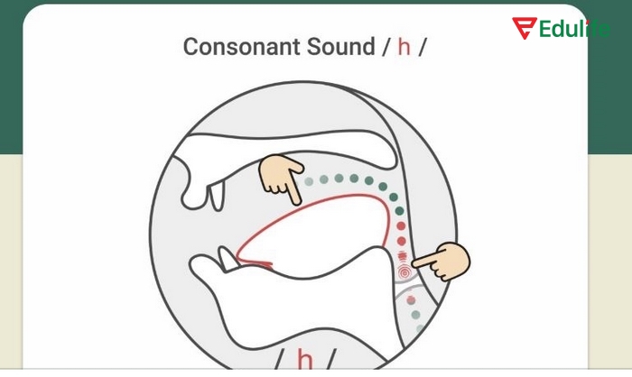Khi bạn hiểu rõ sự khác biệt khi phát âm các loại phụ âm là gì sẽ luôn nói từ đúng, chính xác cả về ngữ điệu