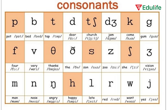 Một số từ tiếng Anh được bắt đầu bằng hai/ba phụ âm liền nhau, gọi là tổ hợp phụ âm