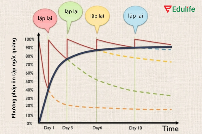 Phương pháp Spaced Repetition là một kỹ thuật ghi nhớ dựa trên nguyên lý khoa học về cơ chế bộ não lưu trữ thông tin theo thời gian