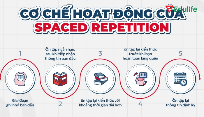 Phương pháp Spaced Repetition vận dụng khả năng ghi nhớ của não bộ để ôn tập định kỳ để duy trì và củng cố trí nhớ