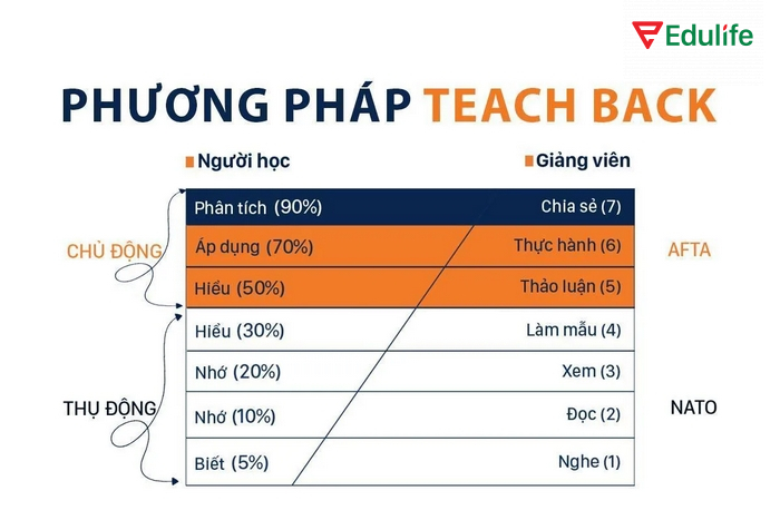 Phương pháp Teach back giúp người học chủ động xử lý thông tin, phát hiện lỗ hổng, điều chỉnh cách học