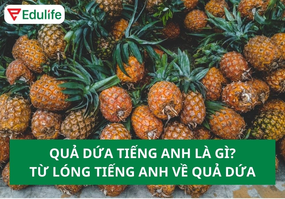 Quả dứa tiếng Anh là gì? 