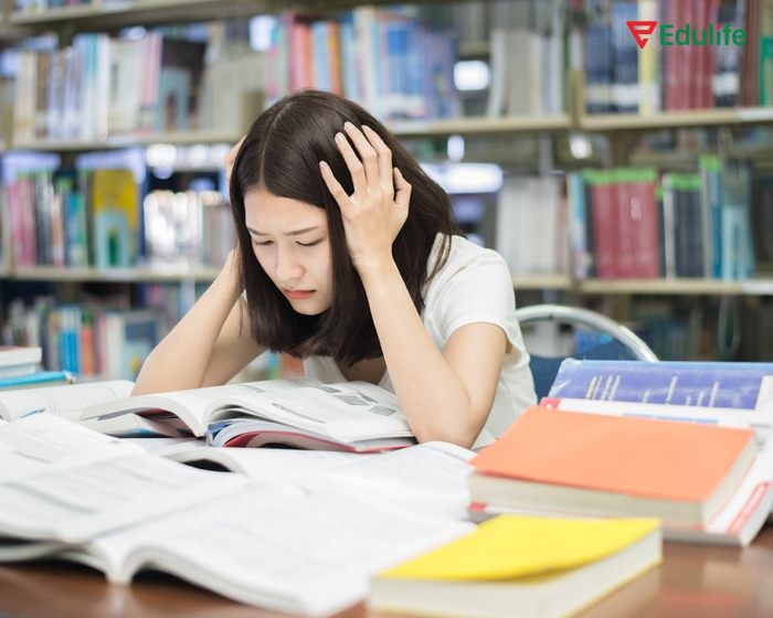 Khi chọn sách tham khảo tiếng Anh lớp 11, bạn cần chọn sách phù hợp trình độ cá nhân và bám sát chương trình học