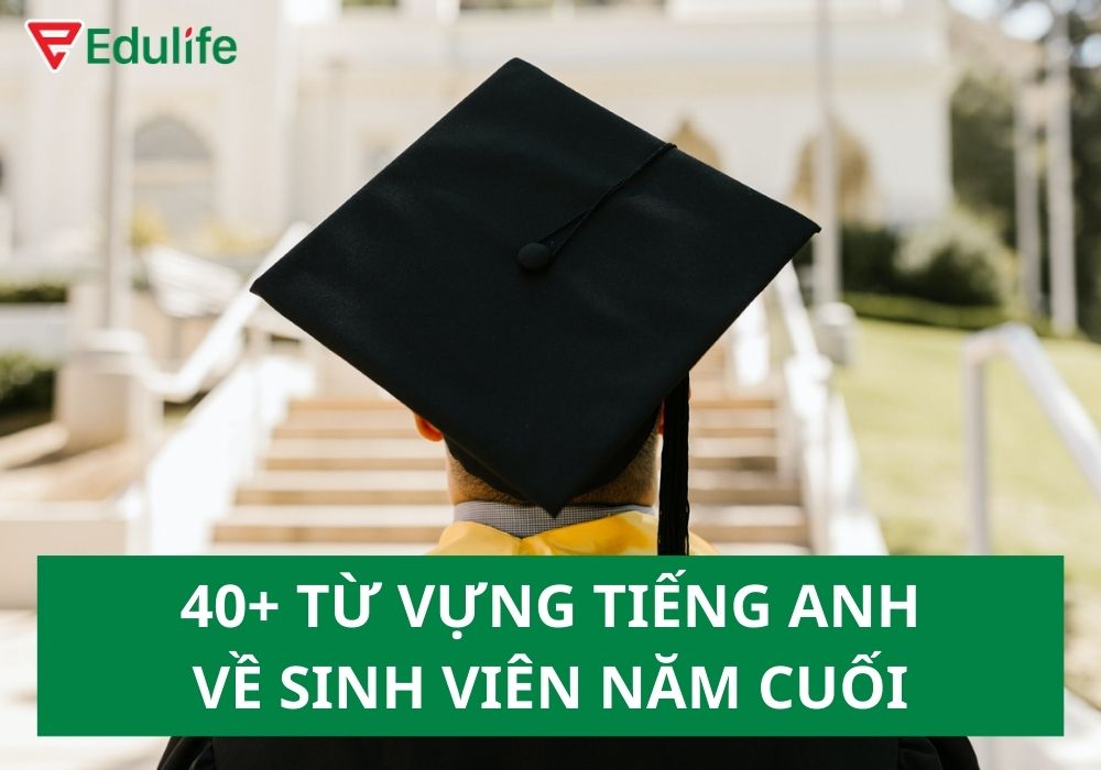 Sinh viên năm cuối tiếng Anh là gì?