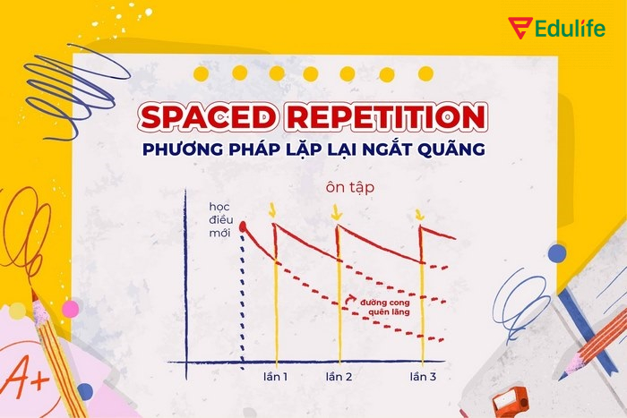 Spaced Repetition là phương pháp lặp lại ngắt quãng giúp ghi nhớ từ vựng tiếng Anh