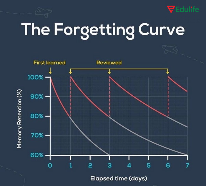 Đường cong lãng quên cho biết nguyên nhân gây quên từ vựng, Spaced Repetition là giải pháp khắc phục