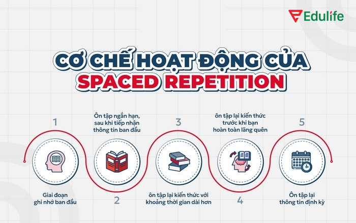 Cơ chế hoạt động ôn luyện của phương pháp lặp lại ngắt quãng