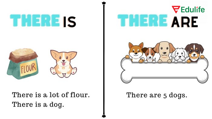 Cấu trúc There is a number of dùng để nhấn mạnh đến tổng thể, thường thấy trong văn viết trang trọng