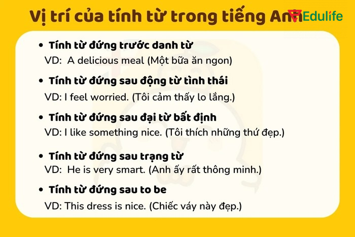 Các vị trí của tính từ phổ biến trong tiếng Anh