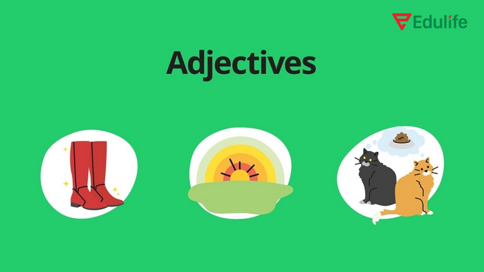 Tính từ có thể đứng trước hoặc sau danh từ