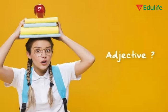 Tính từ là ngữ pháp quan trọng cần nắm chắc khi học tiếng Anh