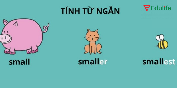 Dạng tính từ ngắn 