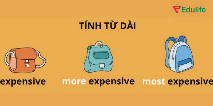 Dạng tính từ dài