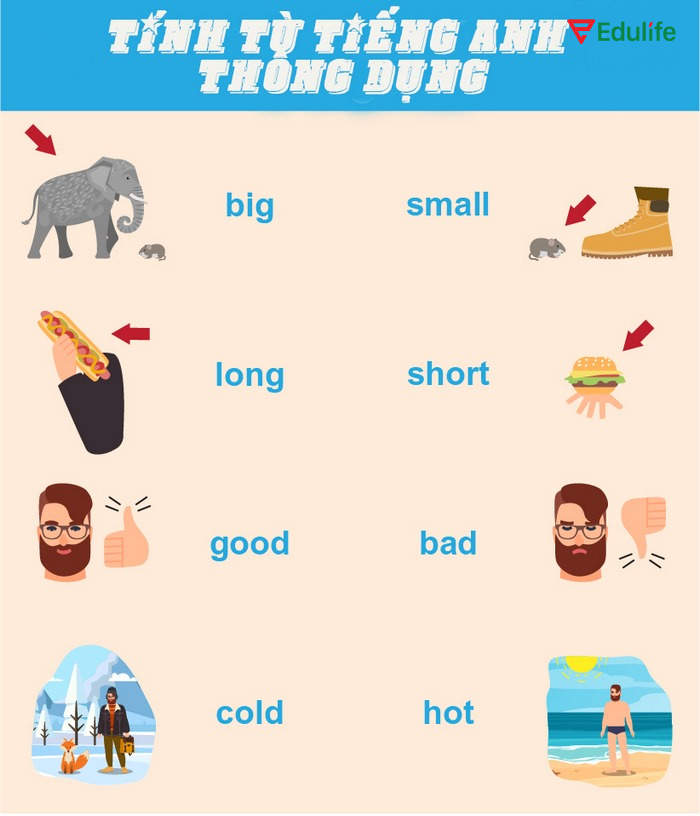 Tính từ tiếng Anh rất thông dụng trong giao tiếp, văn viết