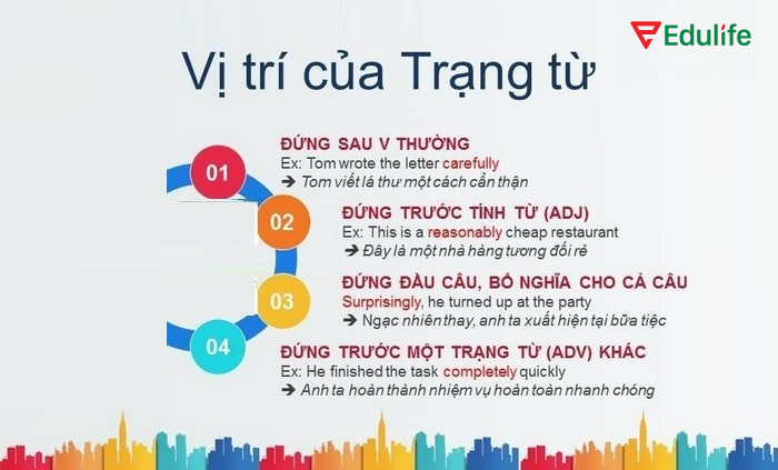 Các vị trí đứng của trạng từ trong câu