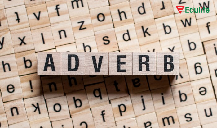 Vị trí đứng của trạng từ tùy vào kết hợp với tính từ, động từ,...