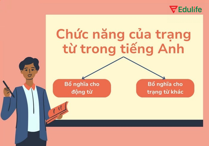 Chức năng của trạng từ