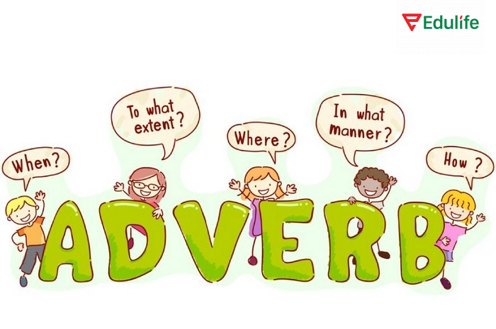 Trạng từ trả lời các câu hỏi như thế nào? ở đâu? khi nào? bao lâu?