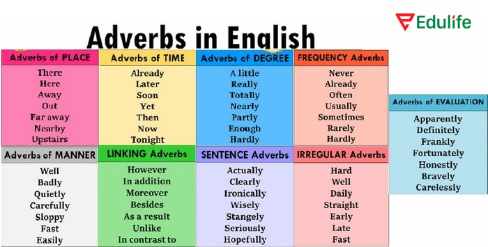 Các phó từ bổ nghĩa của từng loại 