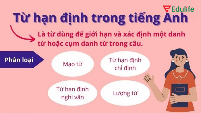 Từ hạn định dùng để giới hạn, xác định một danh từ hoặc cụm danh từ trong câu