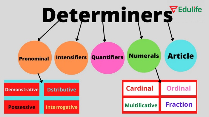 Từ hạn định dùng rất linh hoạt
