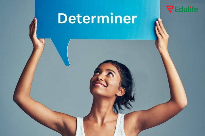 Từ hạn định luôn đứng trước danh từ hoặc cụm danh từ