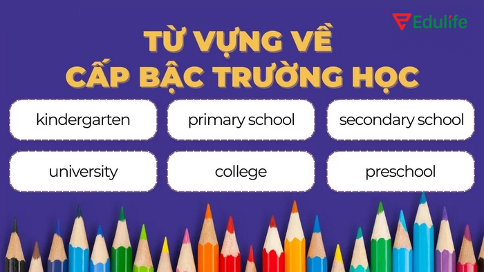 Từ vựng chủ đề Education về các cấp bậc học