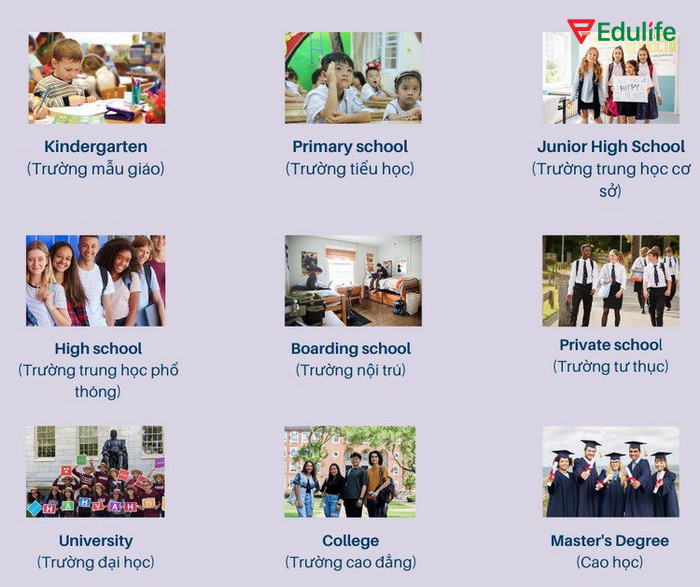 Từ vựng chủ đề Education về hình thức, loại hình trường học