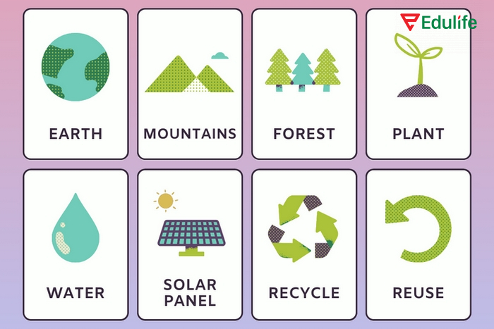 Từ vựng chủ đề môi trường các yếu tố tự nhiên và nhân tạo