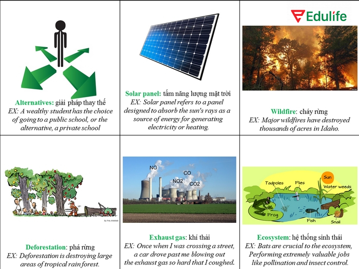 Từ vựng chủ đề môi trường về năng lượng sạch giúp bạn trình bày về giải pháp chống biến đổi khí hậu hiệu quả