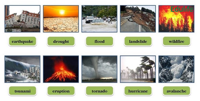 Để mô tả, cảnh báo về nạn lũ lụt, cháy rừng, bạn cần học thêm nhiều từ vựng chủ đề môi trường về các thảm họa này