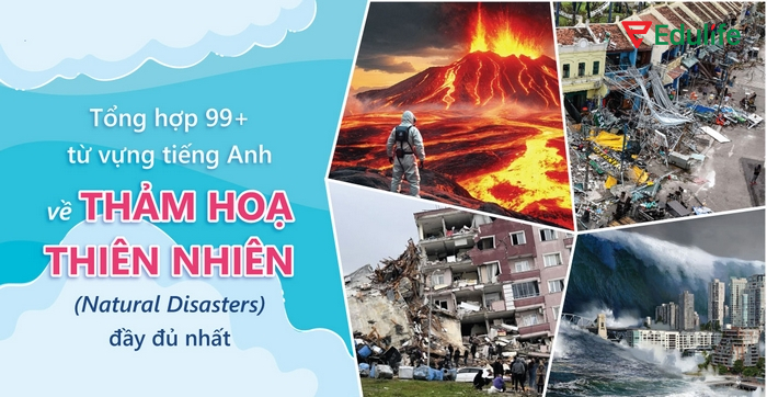 Nhóm từ vựng chủ đề môi trường về ảnh hưởng đến con người từ thảm họa môi trường