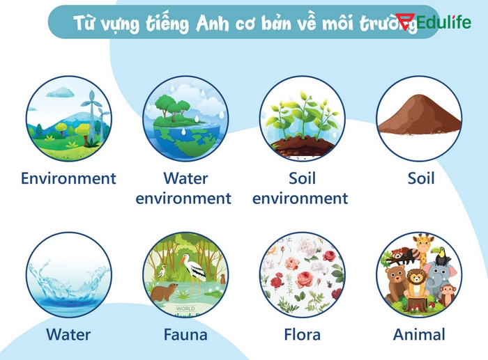 Một số từ vựng chủ đề môi trường về ô nhiễm đất, nước, không khí