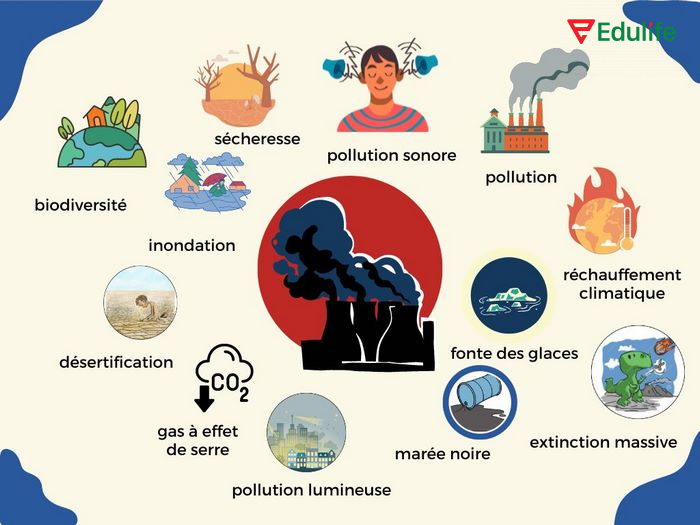 Từ vựng chủ đề môi trường luôn là nền tảng để bạn thảo luận, giao tiếp, trình bày ý tưởng về môi trường