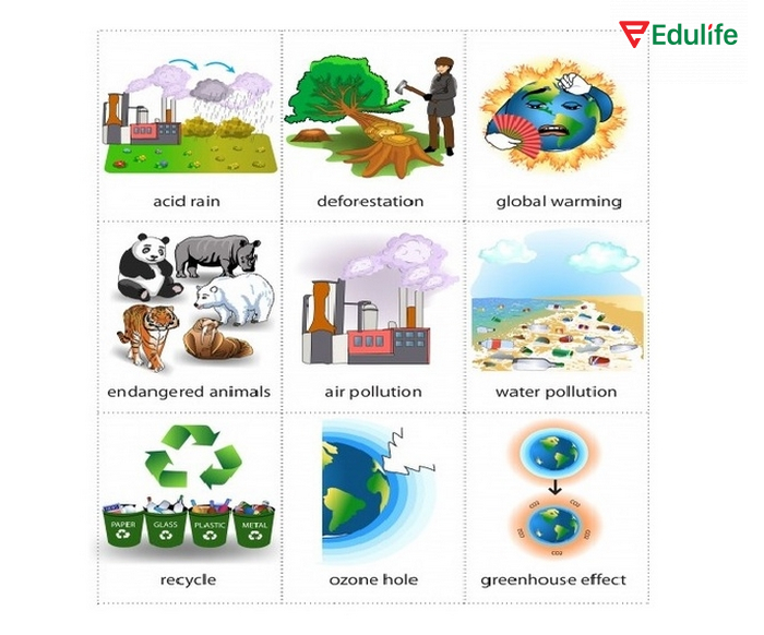 Nắm vững các từ vựng chủ đề môi trường giúp bạn trình bày ý tưởng xử lý rác thải nhựa để bảo vệ môi trường