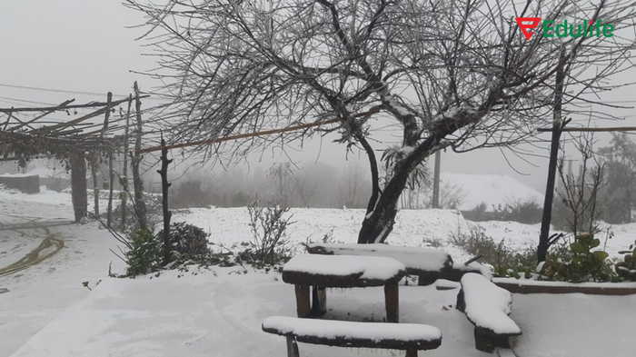 Từ vựng chủ đề thời tiết về tình hình băng giá