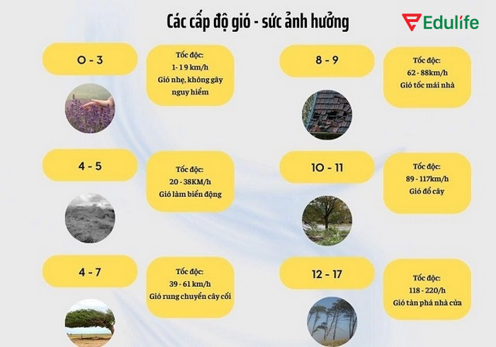 Phân biệt giữa các từ vựng chủ đề thời tiết khi có gió để mô tả phong cảnh, hiện tượng thiên nhiên chính xác