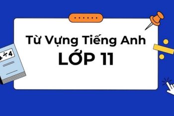 từ vựng tiếng Anh lớp 11