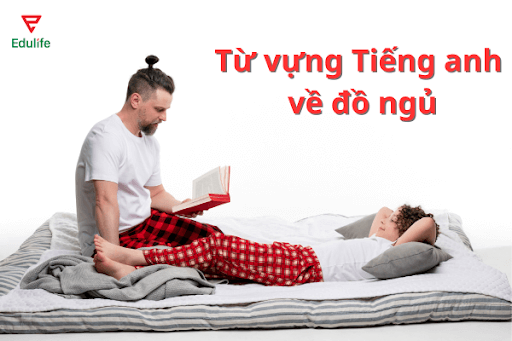 tu-vung-tieng-anh-ve-do-ngu