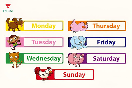 tu-vung-tieng-anh-ve-thu-ngay-thang