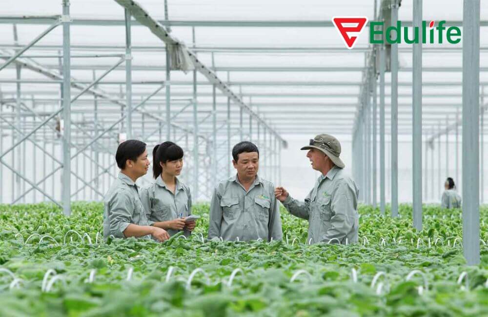 tuyển sinh thạc sĩ Đại học Nông Lâm