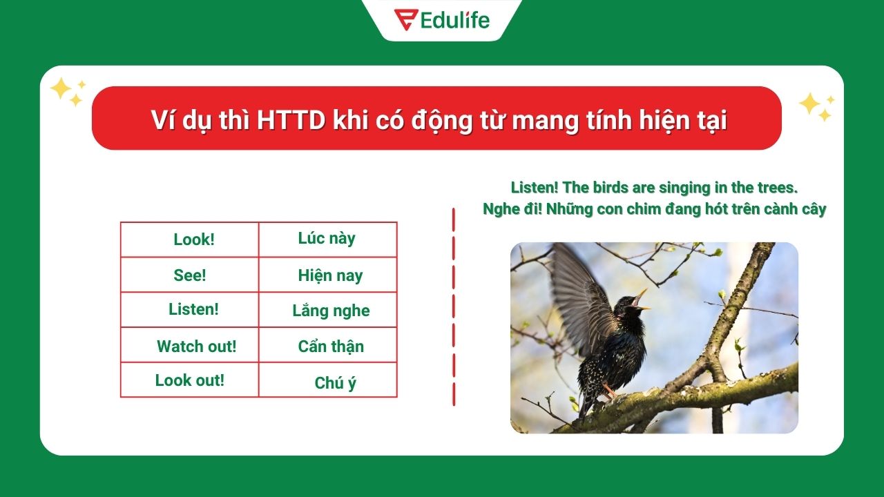 Ví dụ thì hiện tại tiếp diễn khi có động từ mang tính hiện tại 