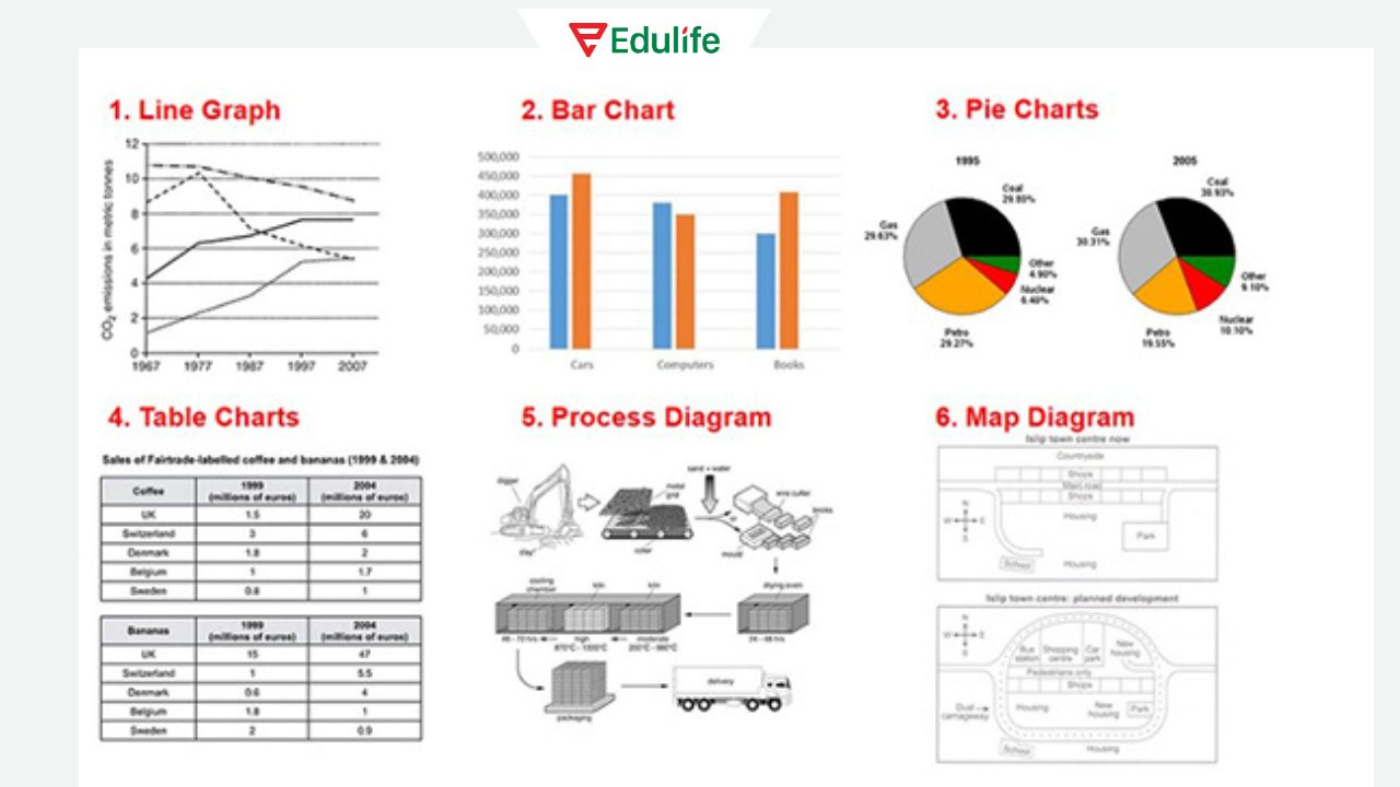 Một số dạng biểu đồ trong phần thi Writing IELTS