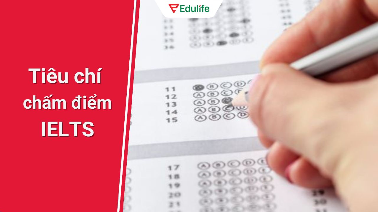 Tiêu chí chấm điểm của IELTS khắt khe hơn so với Vstep